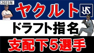 ヤクルトスワローズ２０２３年ドラフト指名選手一覧　ヤクルト支配下指名選手５名のプロフィール\u0026成績をいち早く紹介！【西舘 昂汰】【松本 健吾】【石原 勇輝】【鈴木 叶】【伊藤琉偉】