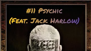 Chris Brown - Psychic (Feat. Jack Harlow) (Legendado) #chrisbrown #breezyalbum #jackharlow