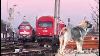 Siemens Hercules OBB 2016 090-Episcopia Bihor-România-21.03.2022