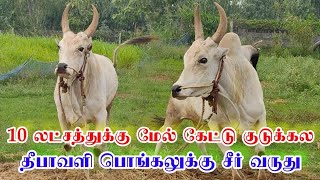 10 லச்சம் மேல் கேட்டு குடுக்காத காளை || டான்சிங் ஒயிட் வரலாறு