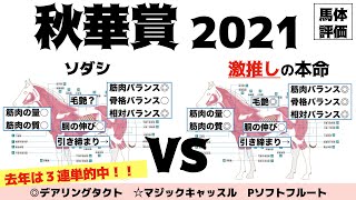 【秋華賞2021】ソダシ…君の完成度には脱帽だよ…。けど…桜花賞ぶり！！再びバランス抜群馬体になったあの元気娘も見逃せない！！【馬体評価】