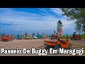 Maragogi Alagoas Passeio De Buggy Ponta A Ponta Veja O Roteiro Completo