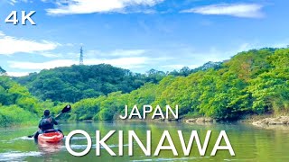 Okinawa Mangrove Kayak Tour 2023 - Japan [4K HDR 60fps]