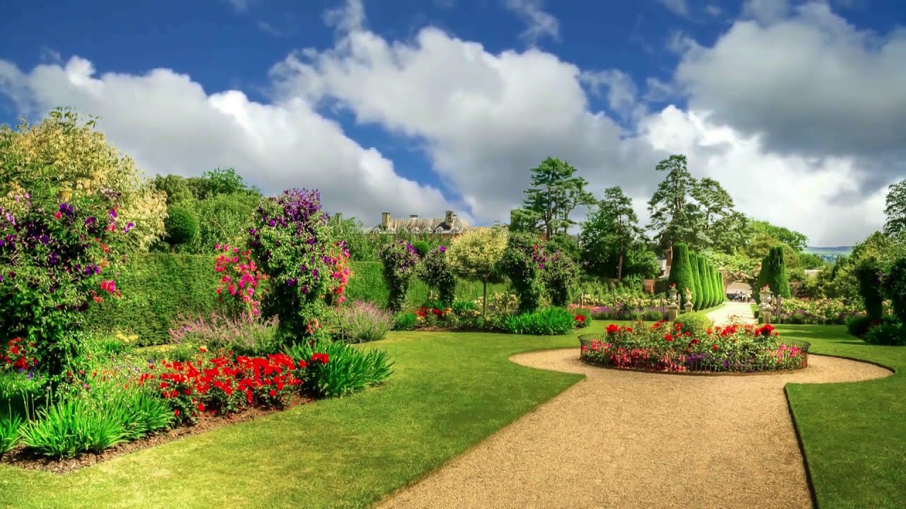 Beautiful Garden Nature, Natural Garden Background Video #BSmotion ...