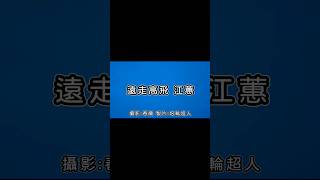 #遠走高飛 #江蕙 #回憶殺 #歌詞 #花蓮【完整歌曲請點擊上方▶︎影片連結進入觀賞】