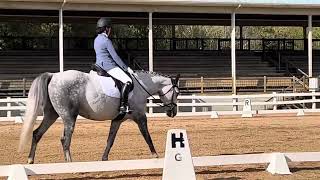 Dromoland - Kate Bariahtaris 2023 USDF Region 1 Dressage Championship [First Level, Test 3]