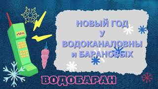 ВОДОБАРАН #002 - Новый год у Водоканаловны и Барановых (технопранк)