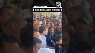 UP: Lok Sabha LoP Rahul Gandhi arrives in Lucknow, to visit his constituency Raebareli