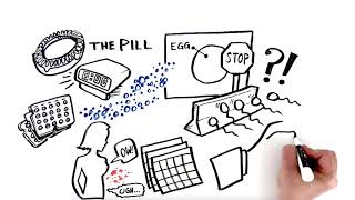 The Pill: Birth Control 101