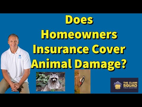 Does homeowners insurance cover damage caused by pets?