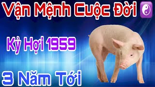 Kỳ Lạ Nhưng Có Thật - Kỷ Hợi 1959 - 3 Năm Tới: Vận May Bùng Nổ,   Tiền Tài Ứ Đọng, Giàu Có Khó Tin!