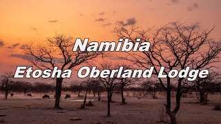 Namibia Etosha Oberland Lodge