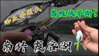 尋找南科魚虎蹤跡！出線啦！台南路亞新手練功點推薦！曲腰 泰國鱧 沒有魚虎 #釣魚 #路亞 #台南