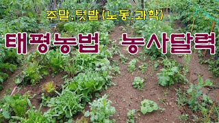 태평농법 농사달력:주말농사,텃밭농사를 위한 제언