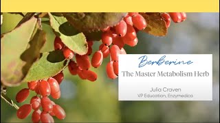 Berberine: The Master Metabolism Herb