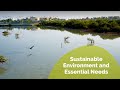 KAUST New Strategy: Sustainable Environment and Essential Needs