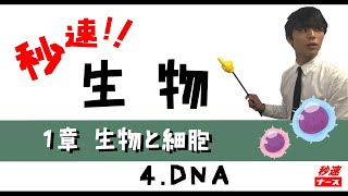 【秒速ナース】1-4DNA【生物-授業動画】