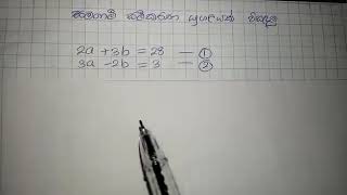 වරදින්නේ නැතිව සමගාමී සමීකරණ යුගලයක විසඳුම් සොයමු...