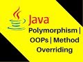8.9 Polymorphism | OOPs | Method Overriding