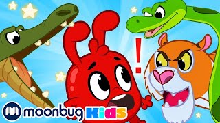 Scary Animal House | Morphle | Animals for Kids | Animal Cartoons | Funny Cartoons | Learn Animals