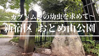 カブトムシ幼虫を求めて『新宿区おとめ山公園』