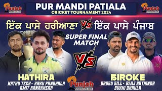 ਹਰਿਆਣਾ vs ਪੰਜਾਬ Supar Dupar|| Final Match Biroke vs Hathira ll Pur Mandi Cricket CuP ll 2024 ll