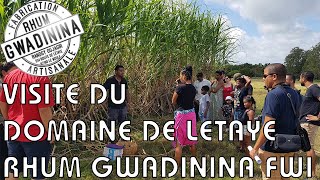 Visite / Masterclass à Rhum GWADININA FWI au Moule, Domaine de LETAYE