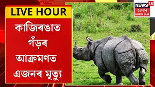 ASSAM NEWS : কাজিৰঙাত গঁড়ৰ আক্ৰমণত এজনৰ মৃত্যু | Kaziranga Rhino Terror