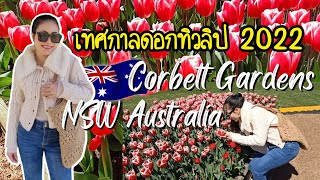 VLOG EP60 | พาชมเทศกาลดอกทิวลิป ฤดูใบไม้ผลิที่ Corbett Garden อากาศดีสวยมาก