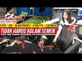 Di KOTA BATU SHOWA DOITSU DIKOLAM FILTER TERPAL JERNIH BANGET | KOI NATION