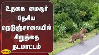 உதகை மைசூர் தேசிய நெடுஞ்சாலையில் சிறுத்தை நடமாட்டம் | Ooty | Leopard | Viral Video