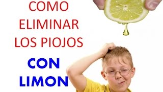 como eliminar piojos y liendres con productos naturales
