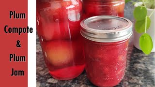 Easy way to make Plum Jam & Plum Compote | Simple & Quick Recipe | With Honey | No Pectin