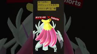 【#shorts  】グソクムシャかわいい(*´Д｀*)  #ポケモンgo