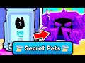 I HUNT For SECRET ADMIN PET in Arm Wrestle Simulator..