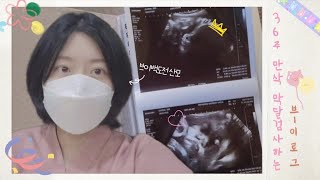 「🤰🏻👶🏻Vlog#26」 벌써 둘째임신 36주 막달검사... 시간이 너무 빨리가네요 | 브이백도전  | 이도로그