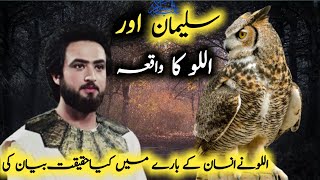Hazrat Suleman (As) Ka Waqia | Prophet Suleman As life Story in Urdu | All Life Events In Detail