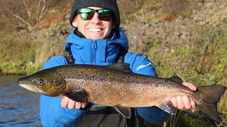 Atlantic Salmon Fly Fishing in Iceland!