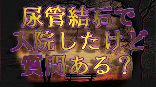 尿管結石で入院したけど質問ある？