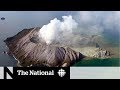 Why there was little warning of New Zealand volcano eruption