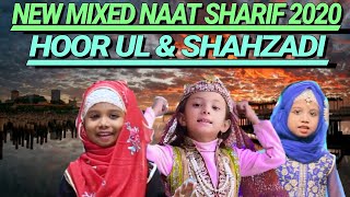 Rabi ul Awwal Naat Status Part 14 - Noor Wala Aaya He Naat Status - Shahzadi Fatima 🥰