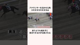 「アナウンサーを泣かせる馬」珍名馬についての雑学