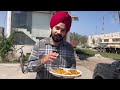 ludhiana का famous non veg ढाबा biggest fish tail tandoori chicken street food india