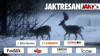 Jaktresan: Smygjakt på kapitala hjortar