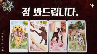 [타로🔮] 점 봐드립니다.🔮