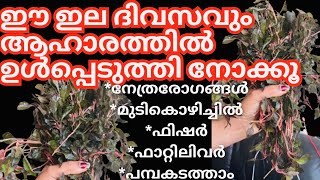 അത്ഭുത ഗുണങ്ങൾ ഉള്ള ഈ ചീര കണ്ടാല്‍ വിടരുത്|Immunity Booster| Ponnanganni Cheera thoran Malayalam