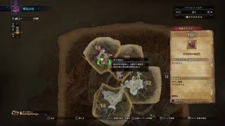 MHW オドガロン攻略