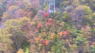 【女子ひとり旅】谷川岳ロープウェイ🍁紅葉（2021.10.28）