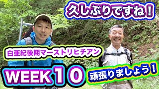 【season２】《week１０》恐竜の化石が出た場所と同じ地層で、いきなりクワガタ発見！異常巻きアンモナイト\u0026アンモナイトの一部を発見！！まだまだ継続中です。笑　白亜紀後期マーストリヒチアン