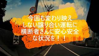 【譲り合い運転＆信号機のない横断歩道】今回もいつもながらの運転動画です！！